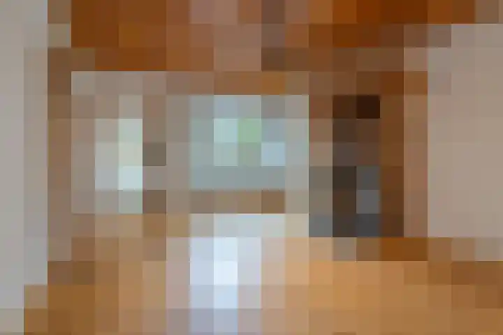 Burgerhoutsestraat 66 Roosendaal thumbnail 8