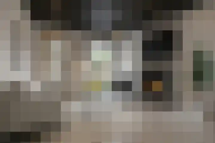 Burgerhoutsestraat 66 Roosendaal thumbnail 9