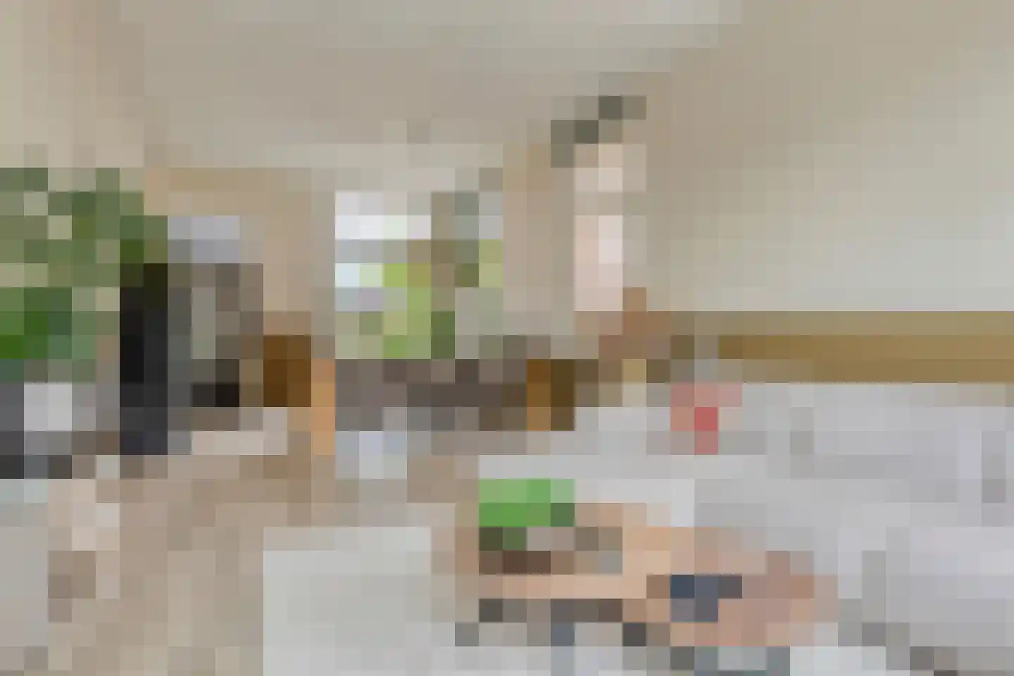 Burgerhoutsestraat 89 Roosendaal thumbnail 14