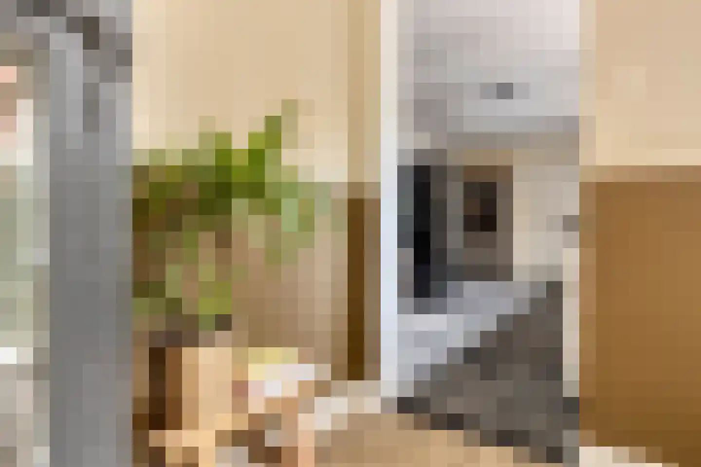 Burgerhoutsestraat 89 Roosendaal thumbnail 19