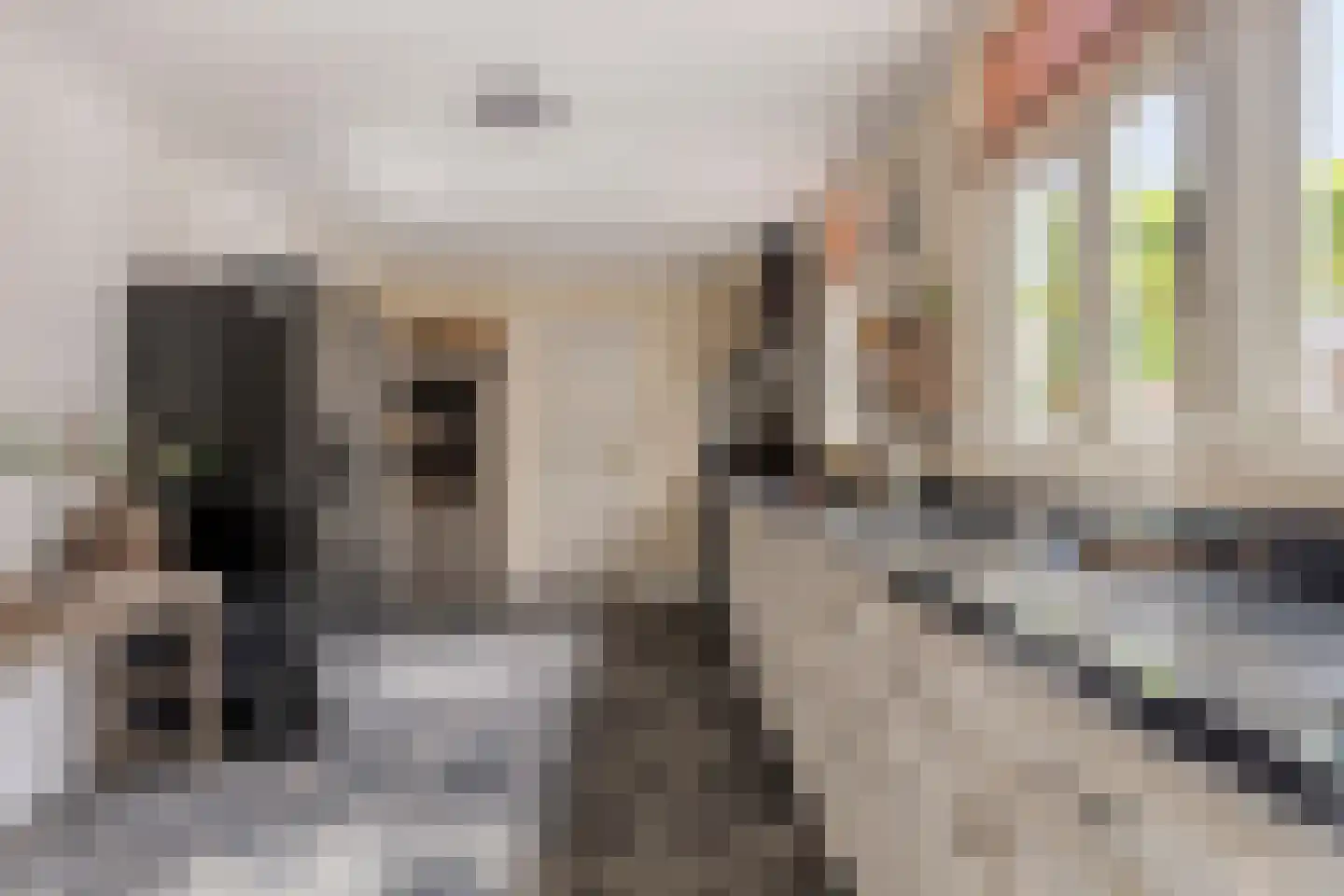 Burgerhoutsestraat 89 Roosendaal thumbnail 20