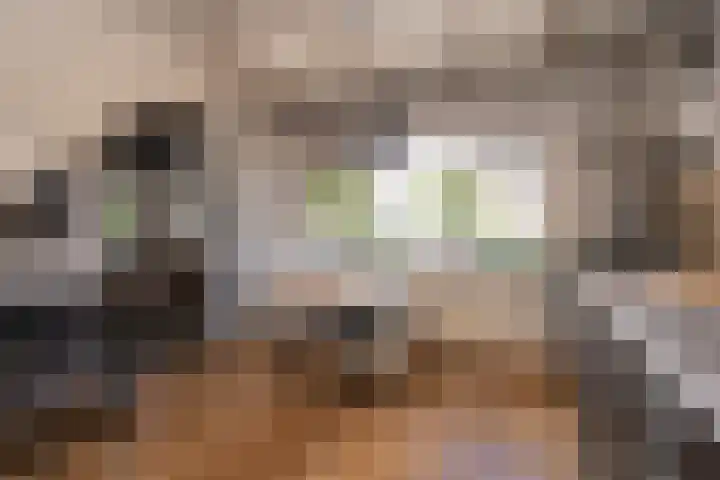 Burgerhoutstraat 13 Den Burg thumbnail 10