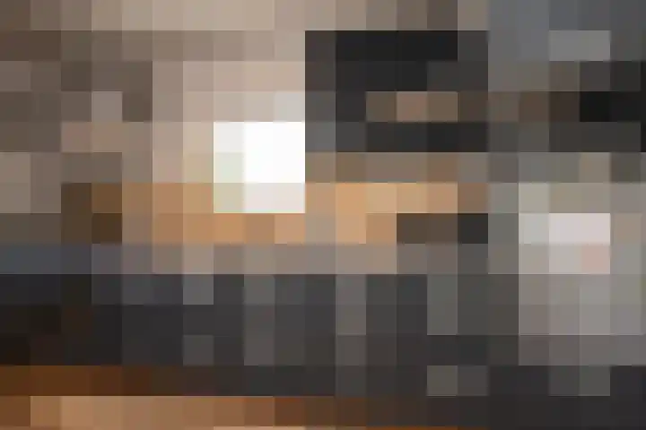 Burgerhoutstraat 13 Den Burg thumbnail 11