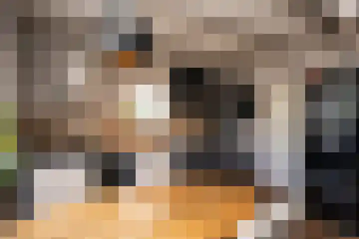 Burgerhoutstraat 13 Den Burg thumbnail 12