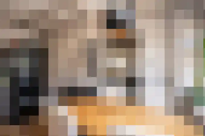Burgerhoutstraat 13 Den Burg thumbnail 13
