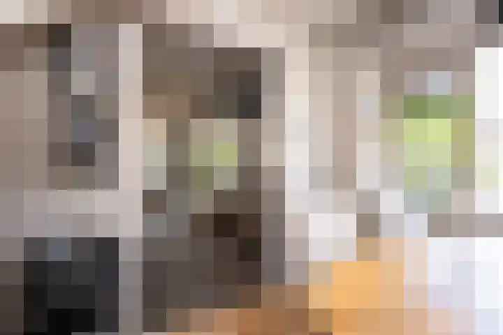 Burgerhoutstraat 13 Den Burg thumbnail 14