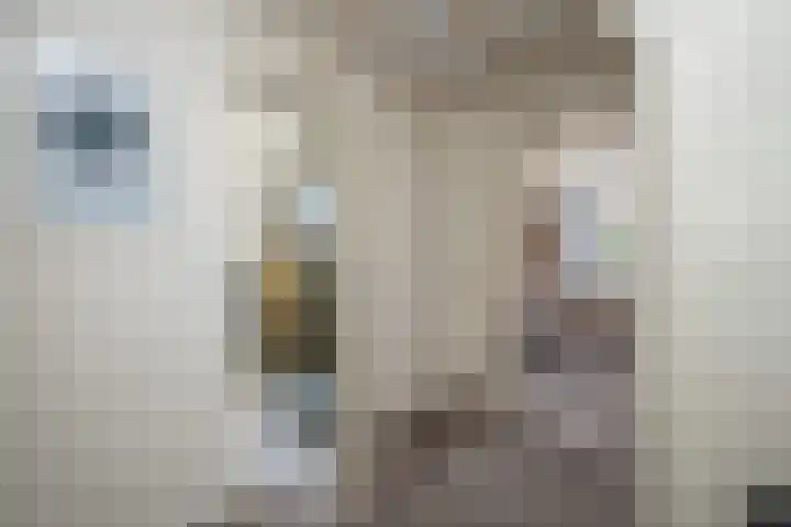 Burgerhoutstraat 13 Den Burg thumbnail 19