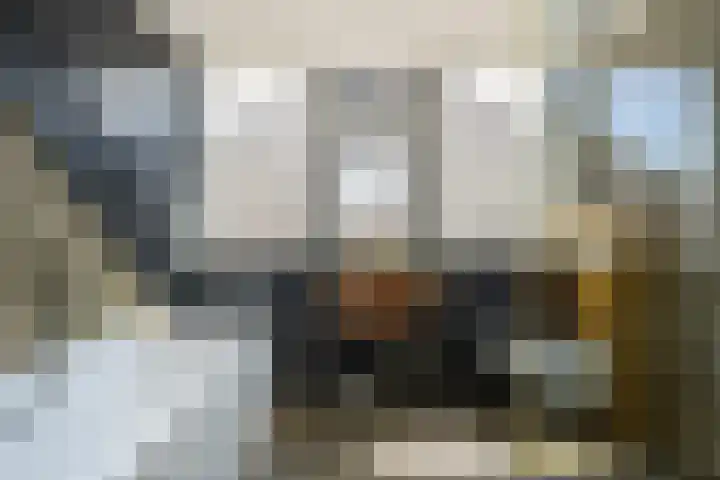 Burgerhoutstraat 13 Den Burg thumbnail 20