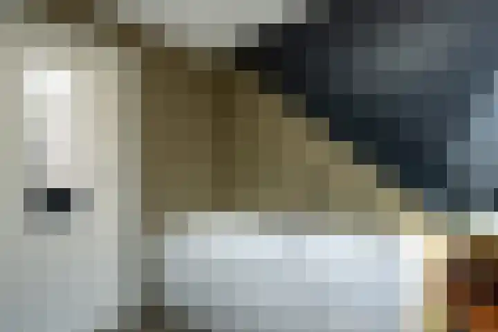 Burgerhoutstraat 13 Den Burg thumbnail 21