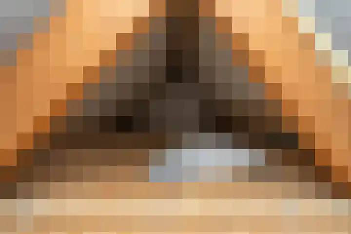 Burgerhoutstraat 13 Den Burg thumbnail 35