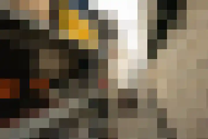 Burgerhoutstraat 13 Den Burg thumbnail 38