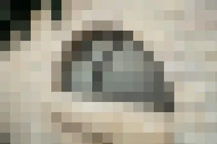 Burgerhoutstraat 13 Den Burg thumbnail 39