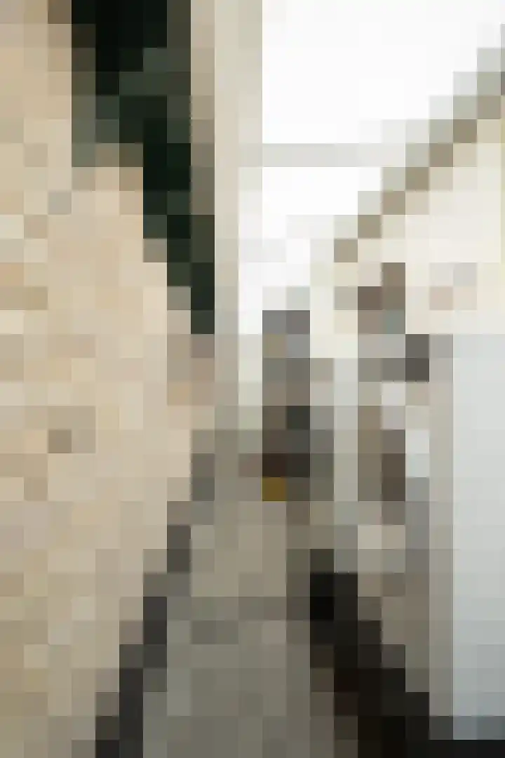 Burgerhoutstraat 13 Den Burg thumbnail 40