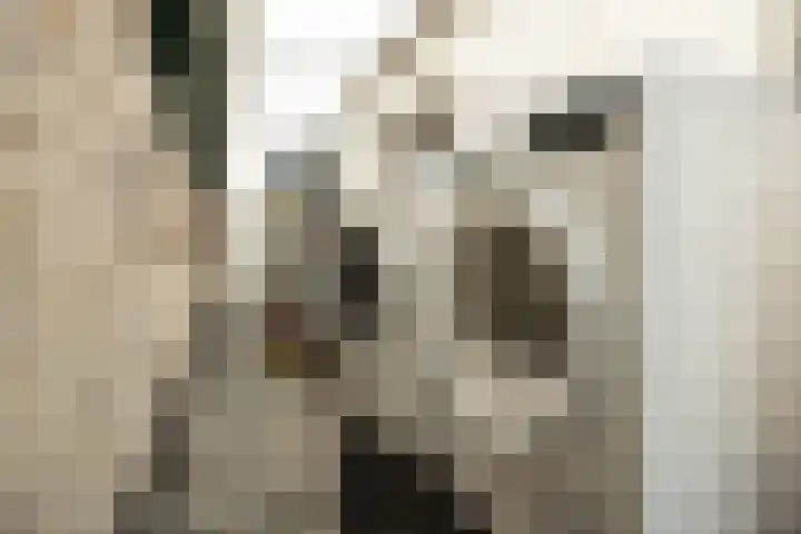 Burgerhoutstraat 13 Den Burg thumbnail 41