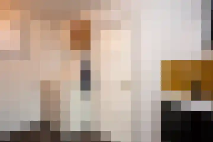 Burgerhoutstraat 13 Den Burg thumbnail 7