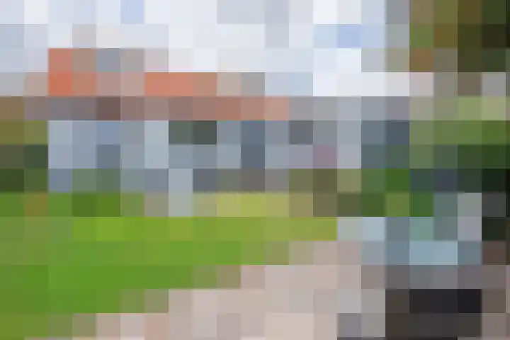 Burgerhoutstraat 14 Den Burg thumbnail 22
