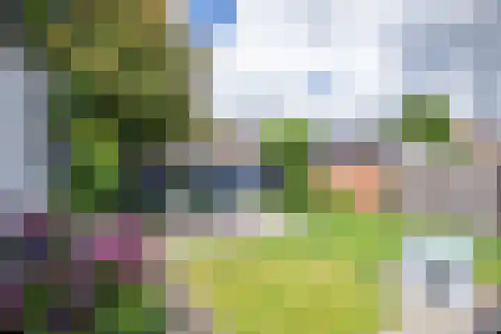 Burgerhoutstraat 14 Den Burg thumbnail 23