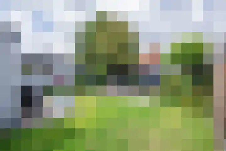 Burgerhoutstraat 14 Den Burg thumbnail 24