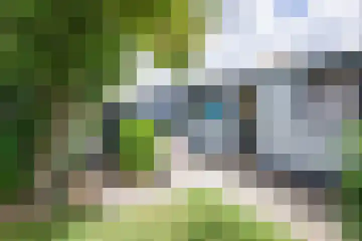 Burgerhoutstraat 14 Den Burg thumbnail 25
