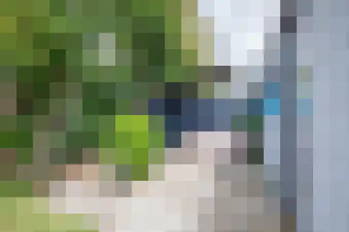 Burgerhoutstraat 14 Den Burg thumbnail 26