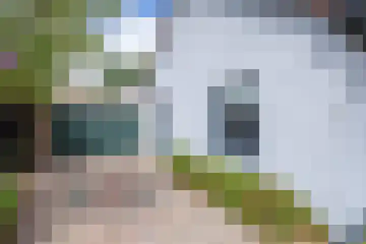 Burgerhoutstraat 14 Den Burg thumbnail 27
