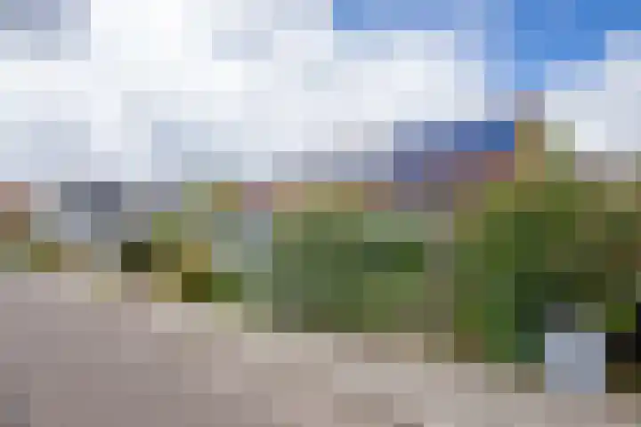 Burgerhoutstraat 14 Den Burg thumbnail 28