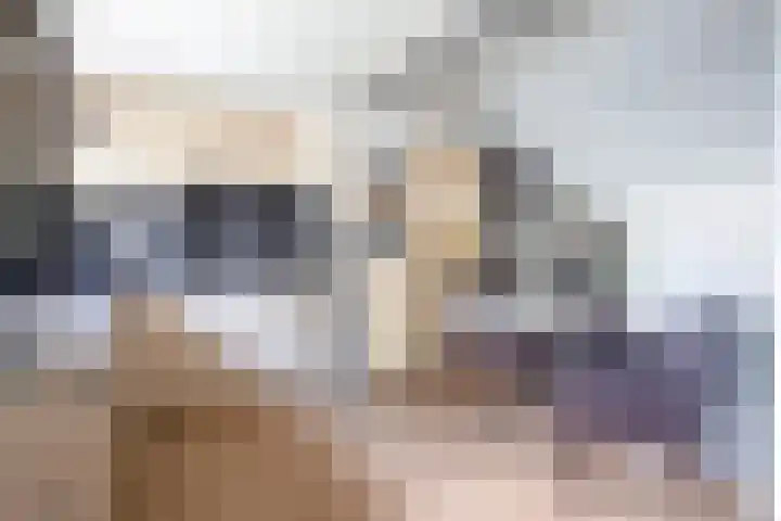 Burgerhoutstraat 14 Den Burg thumbnail 6