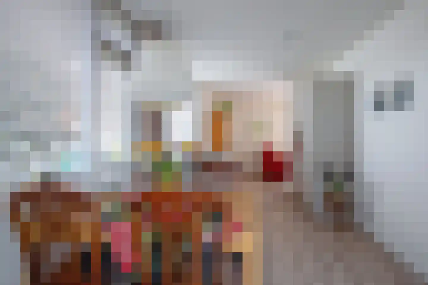 Burgerhoutstraat 16 Den Burg thumbnail 11