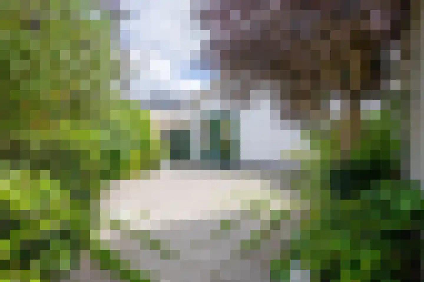 Burgerhoutstraat 16 Den Burg thumbnail 22