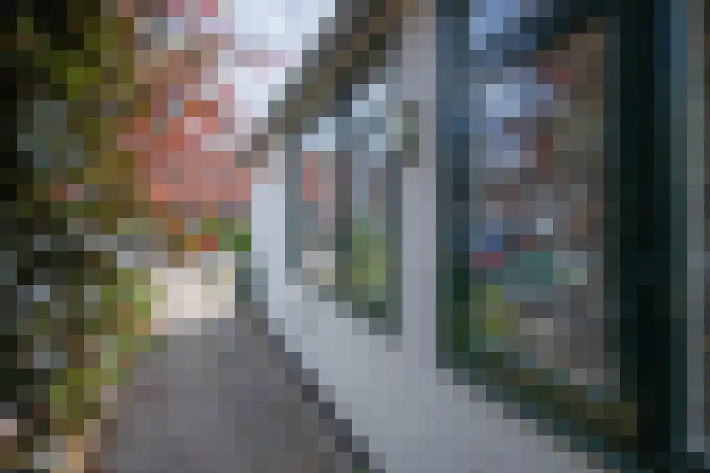 Burgerhoutstraat 16 Den Burg thumbnail 25