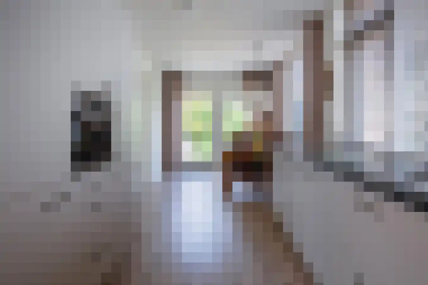 Burgerhoutstraat 16 Den Burg thumbnail 8