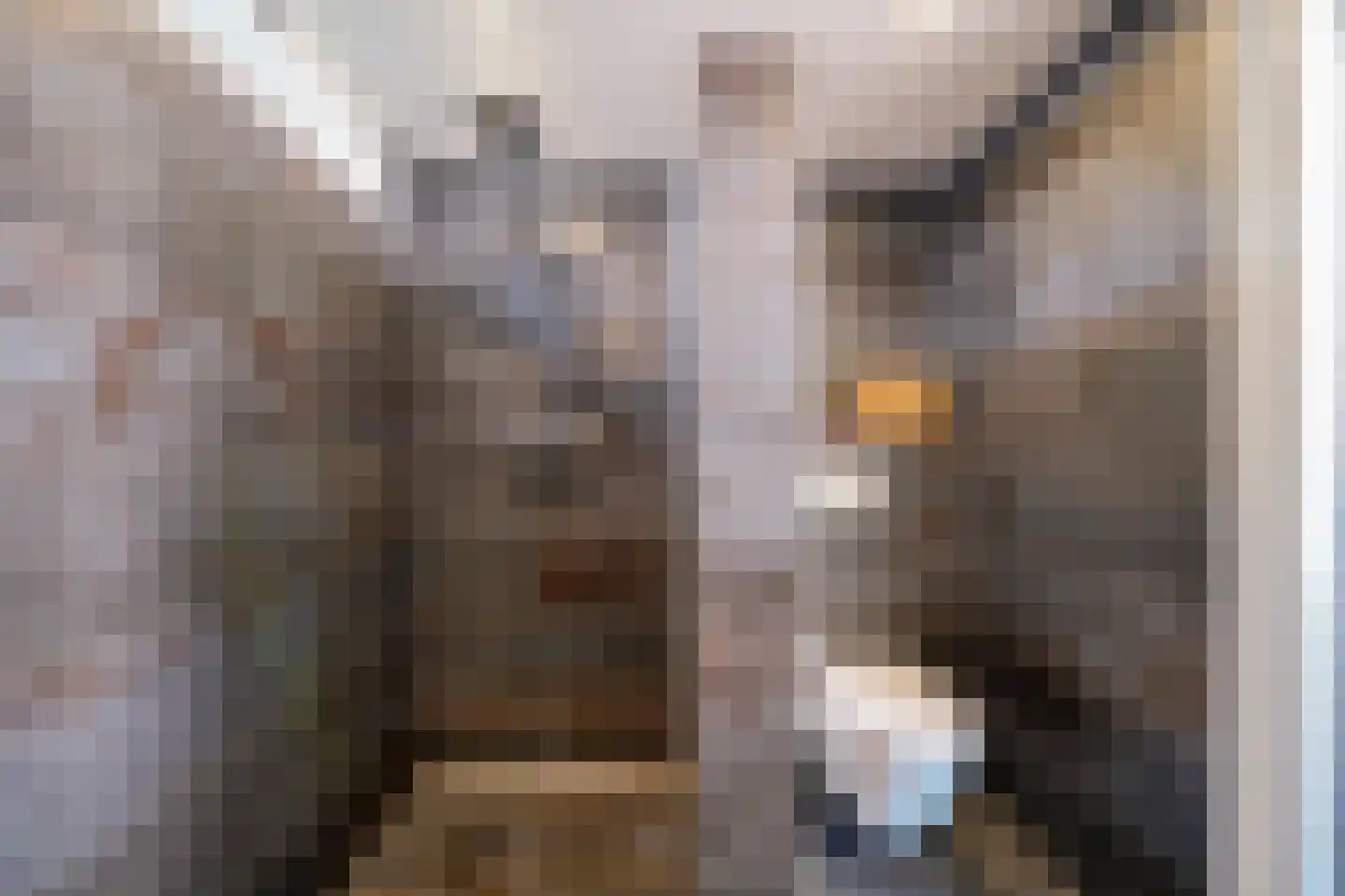 Burgerhoutstraat 2 Den Burg thumbnail 15