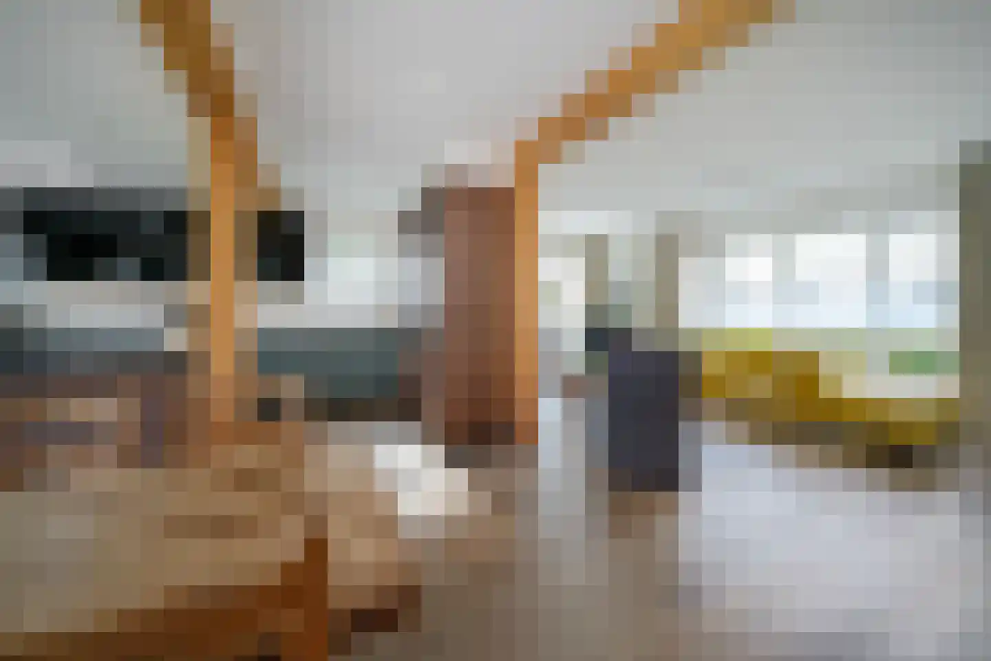 Burgerhoutstraat 2 Den Burg thumbnail 7