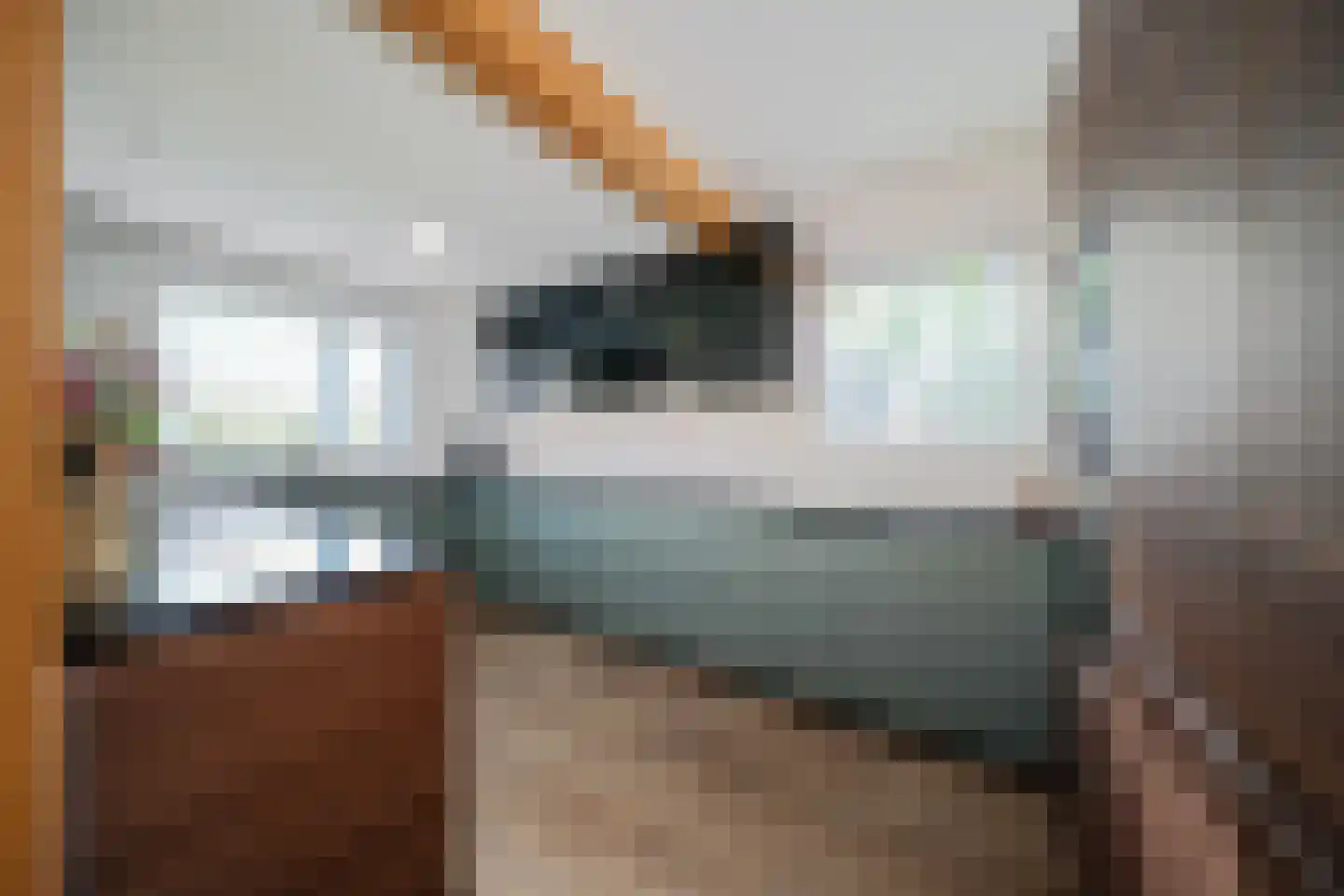 Burgerhoutstraat 2 Den Burg thumbnail 8