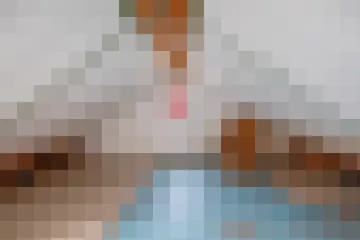 Burgerhoutstraat 6 Den Burg thumbnail 17