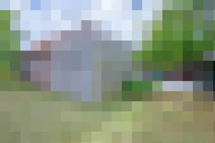 Burgerhoutstraat 6 Den Burg thumbnail 20