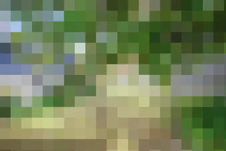 Burgerhoutstraat 6 Den Burg thumbnail 21