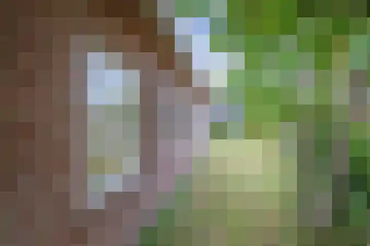 Burgerhoutstraat 6 Den Burg thumbnail 22