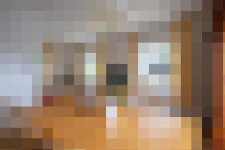 Burgerhoutstraat 6 Den Burg thumbnail 6