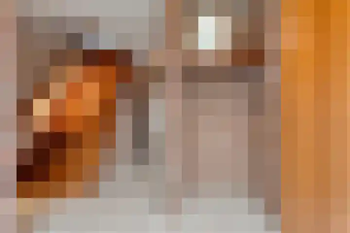 Burgerkamp 2 Loozen thumbnail 12
