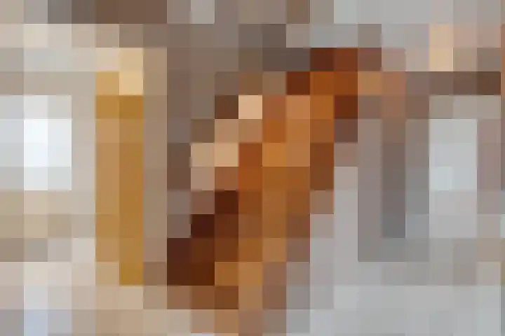 Burgerkamp 2 Loozen thumbnail 14