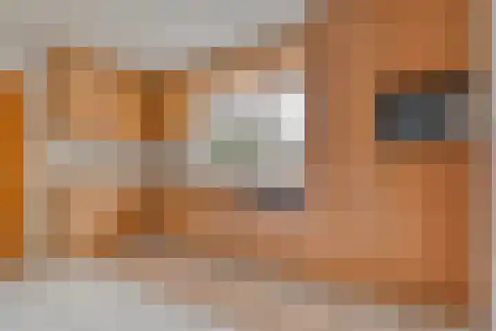 Burgerkamp 2 Loozen thumbnail 20