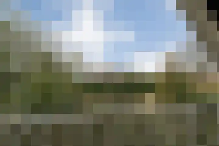 Burgerkamp 2 Loozen thumbnail 34