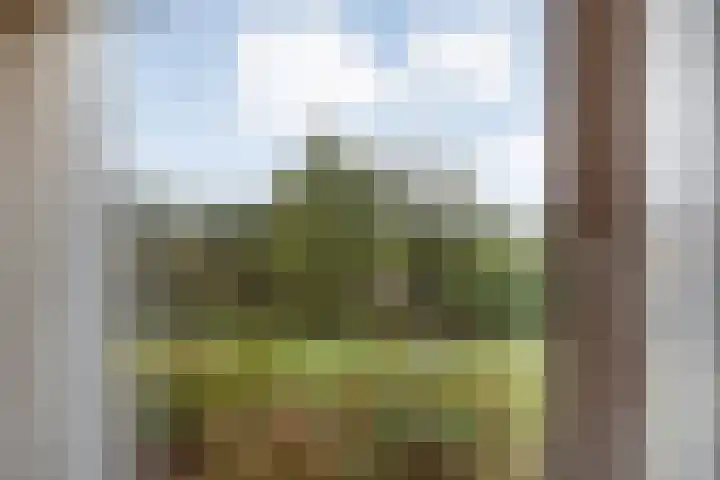 Burgerkamp 2 Loozen thumbnail 36