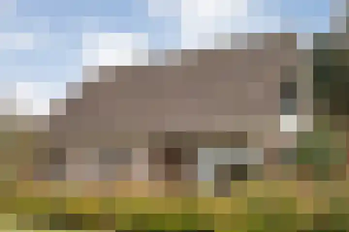 Burgerkamp 2 Loozen thumbnail 4