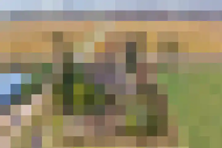 Burgerkamp 2 Loozen thumbnail 46
