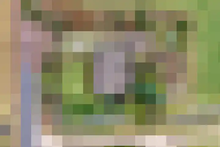 Burgerkamp 2 Loozen thumbnail 47