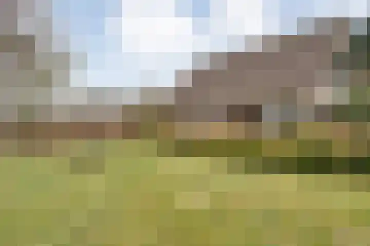 Burgerkamp 2 Loozen thumbnail 48