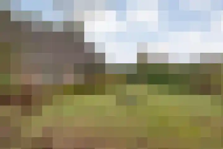 Burgerkamp 2 Loozen thumbnail 50