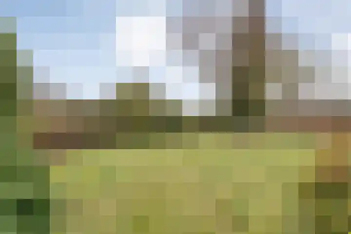 Burgerkamp 2 Loozen thumbnail 52